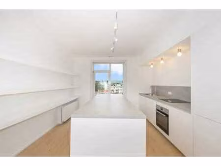 magnifique appartement 2ch full rénové  parking et cave