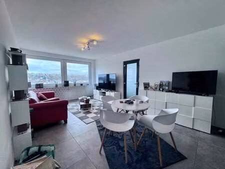 appartement rénové  1 chambre
