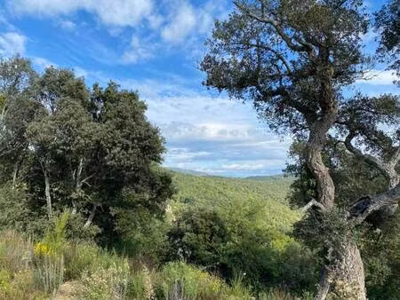 terrain constructible viabilisé à vendre