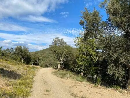 terrain constructible viabilisé à vendre
