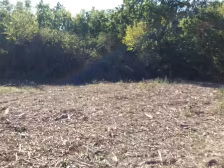 vente terrain 500 m² à fontenilles (31470)  105 000 €