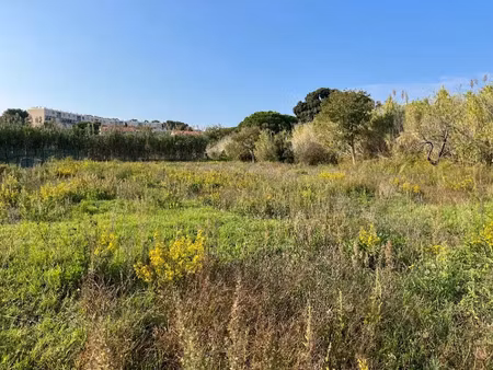 vente terrain 700 m² à puget-ville (83390)  165 000 €