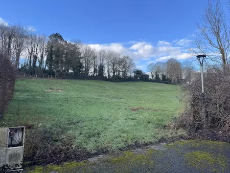 vente terrain à batir 11049 m² à chatillon-sur-chalaronne (01400)  199 000 €