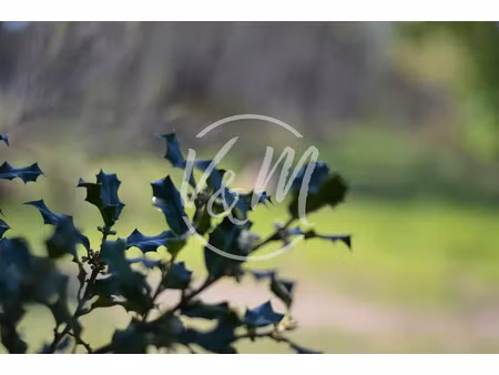 vente terrain à batir 800 m² à ares (33740)  388 500 €
