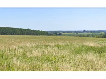 vente terrain 3000 m² à latresne (33360)  390 000 €