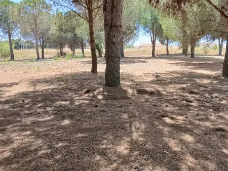 vente terrain 1969 m² à perpignan (66000)  420 000 €