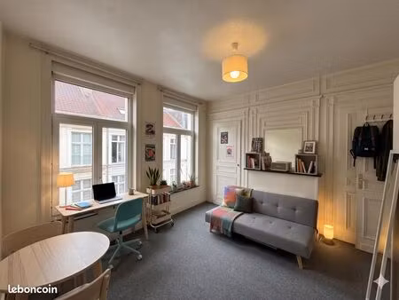 studio 1 pièce 20 m²