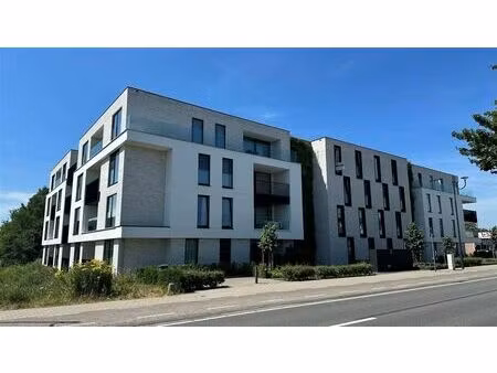 appartement à louer à steenweg op turnhout 61 oud-turnhout (rbw30675)