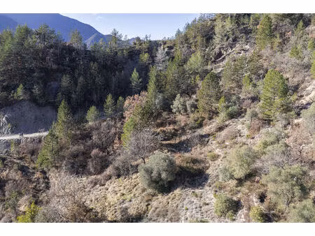 à puget-théniers  au cœur d’un cirque naturel préservé  terrain d’exception de 34 589 m²  