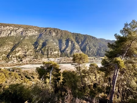 vente terrain à bâtir 3 984 m²