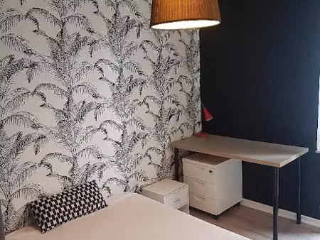 location appartement 1 pièce à pessac (33600)  490 €