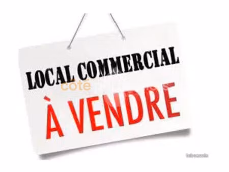 local professionnel - 340m2
