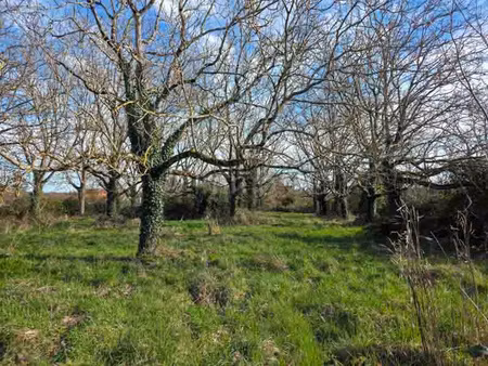 terrain à bâtir
