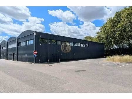 vente local d’activités saint-priest 69800 409m² à 501m²