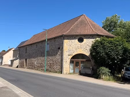 maison de caractere avec espace professionnel independant - parc 3000 m2