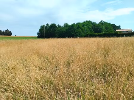 terrain