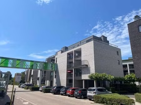 appartement à louer à overpelt € 1.090 (lploz) - immo eibo | zimmo