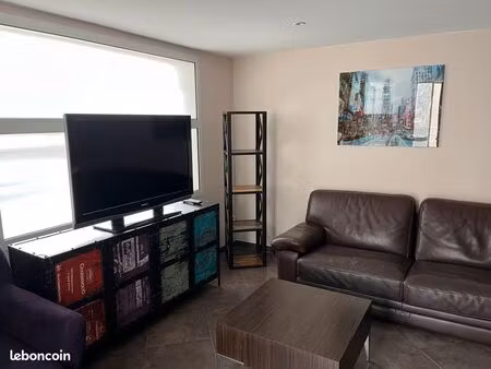 appartement en duplex 62 m² quartier confluence