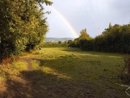 terrain agricole