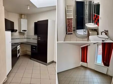 appartement t2 cosy de 50m2  1 grande chambre  coin cuisine équipée/séjour + petite cave
