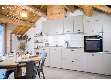 t3 duplex meublé avec rooftop dans maison historique