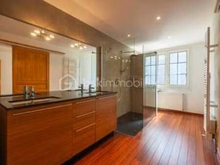 vente maison piscine à seiches-sur-le-loir (49140) : à vendre piscine / 245m² seiches-sur-