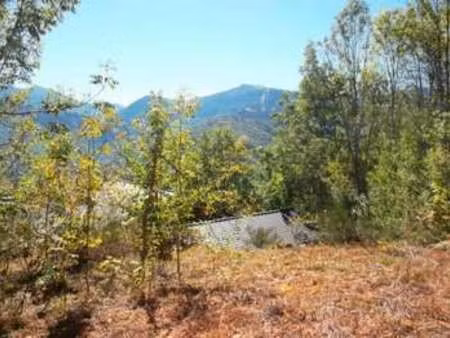 vente terrain à ignaux (09110) : à vendre / ignaux