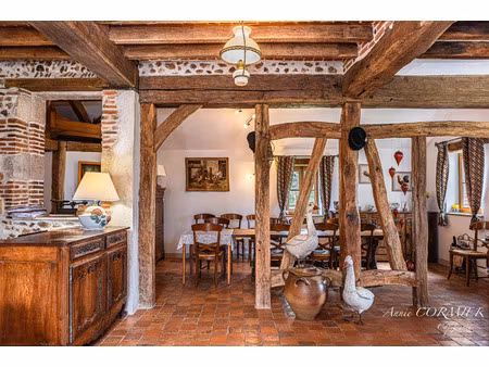 maison à vendre sully sur loire 7 pièce(s) 245m2 528 000€