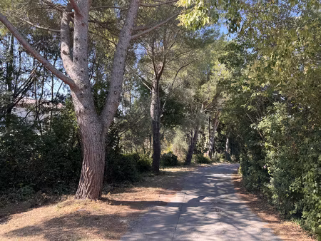 montpellier la chamberte – appartement meublé d’exception dans domaine privé boisé