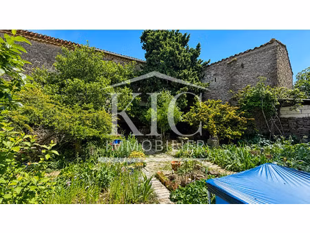 proche carcassonne - maison vigneronne - 417m2 - jardin - ga