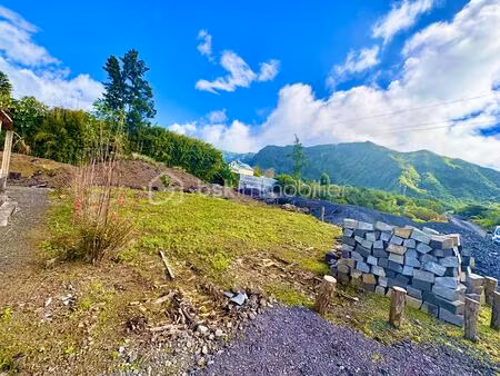 terrain de 10 000 m² à la plaine-des-palmistes