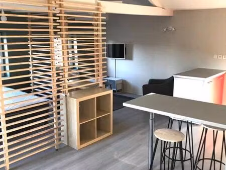 t1 bis meublé hypercentre