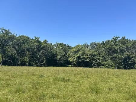 forêt de production de chêne