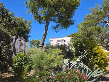 t3 - 49.81m ²