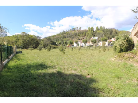 espéraza - terrain arboré de 2 342m2