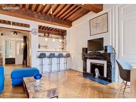 appartement lyon 2