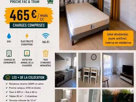 appartement 14.04 m2 proche tram et fac