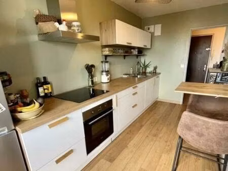 appartement lumineux renove ( (électricité  plomberie  sols  peinture  huisseries)