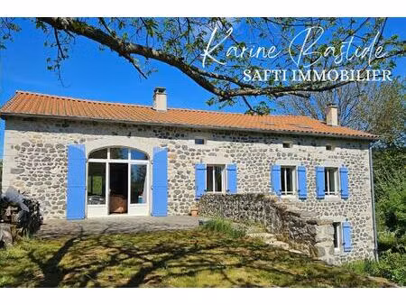 belle maison en pierres sur grand jardin