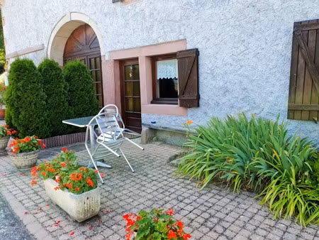 dpt vosges (88)  à vendre proche gerardmer - domaine - ferme rénovée t6 + 3 gites - spe in