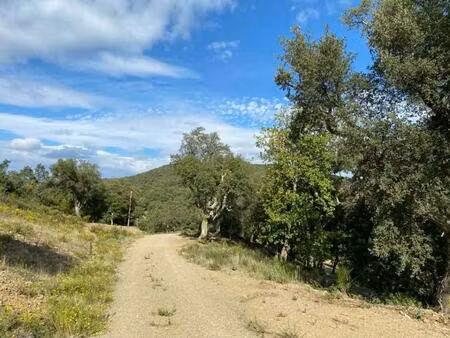 achat terrain 1 147m² taillet 66400
