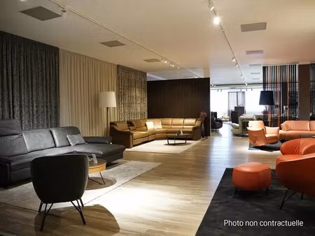 location commerce limonest 69760 237m²
