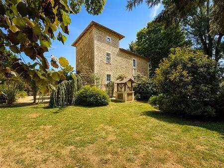 prestigieux château en vente eyzin-pinet  auvergne-rhône-alpes