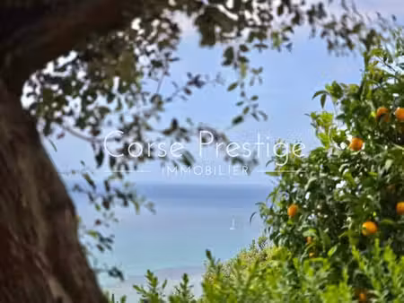 maison de 6 pièces de luxe en vente à saint-florent  corse