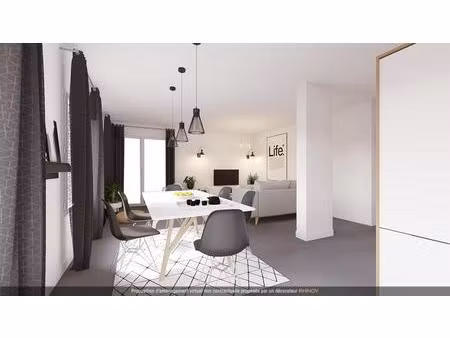 duplex/triplex