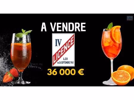 licence iv à vendre – transférable sur toute l'île de la réunion – 36 000 €