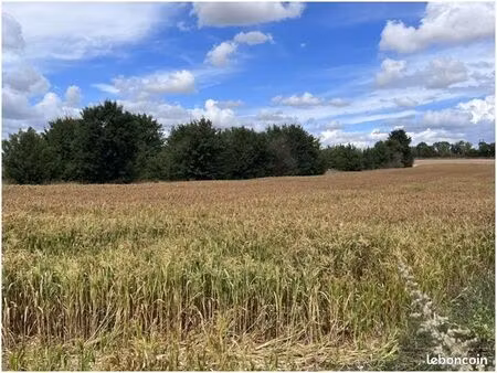 terrain à bâtir de 427 m2 au prix de 37000 à gond-pontouvre (16)