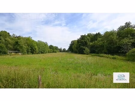 landbouwgrond / paardenweide te koop te baal