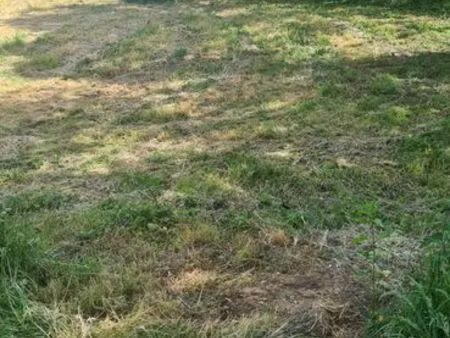terrain pour jardin d agrément