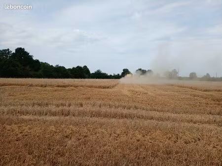 terrains agricoles